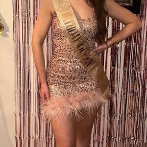 Windsor Pink Sparkly Feather Dress